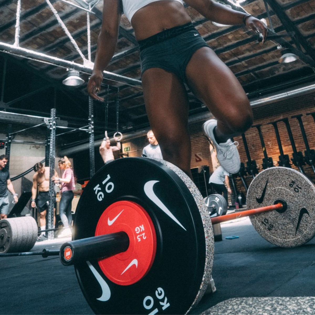 Discos Fraccionados de Precisión