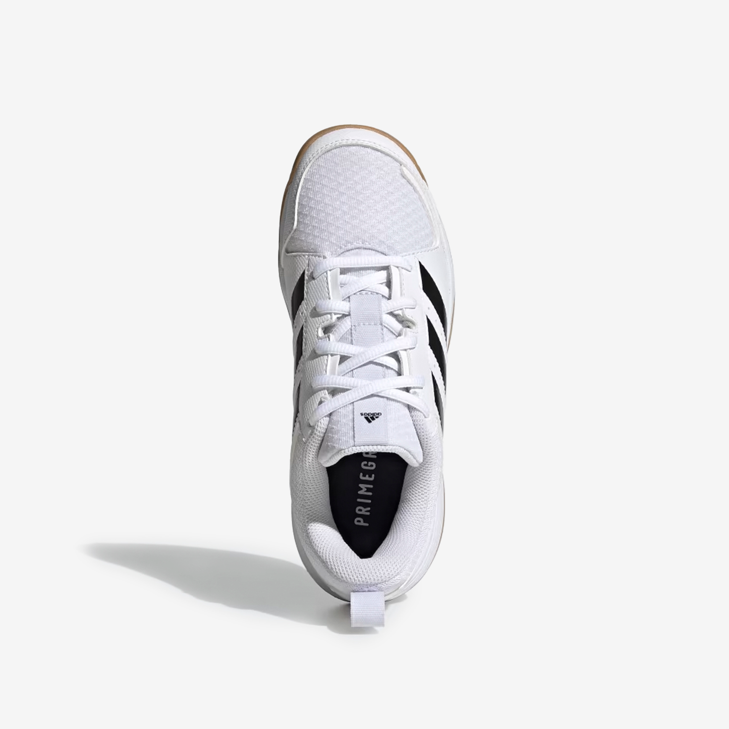 adidas Zapatillas Ligra 7 - woman AR000168485-FZ4660