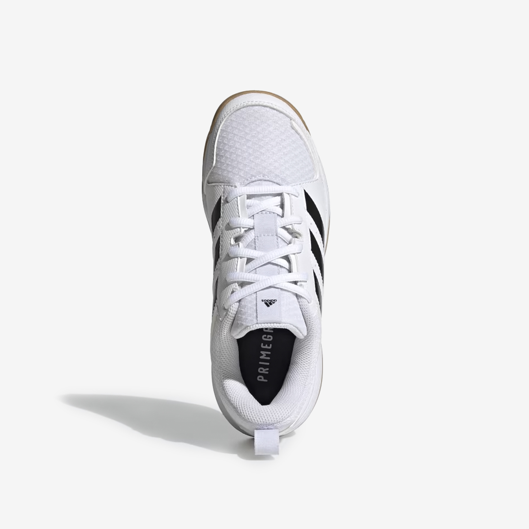 adidas Zapatillas Ligra 7 - woman AR000168485-FZ4660